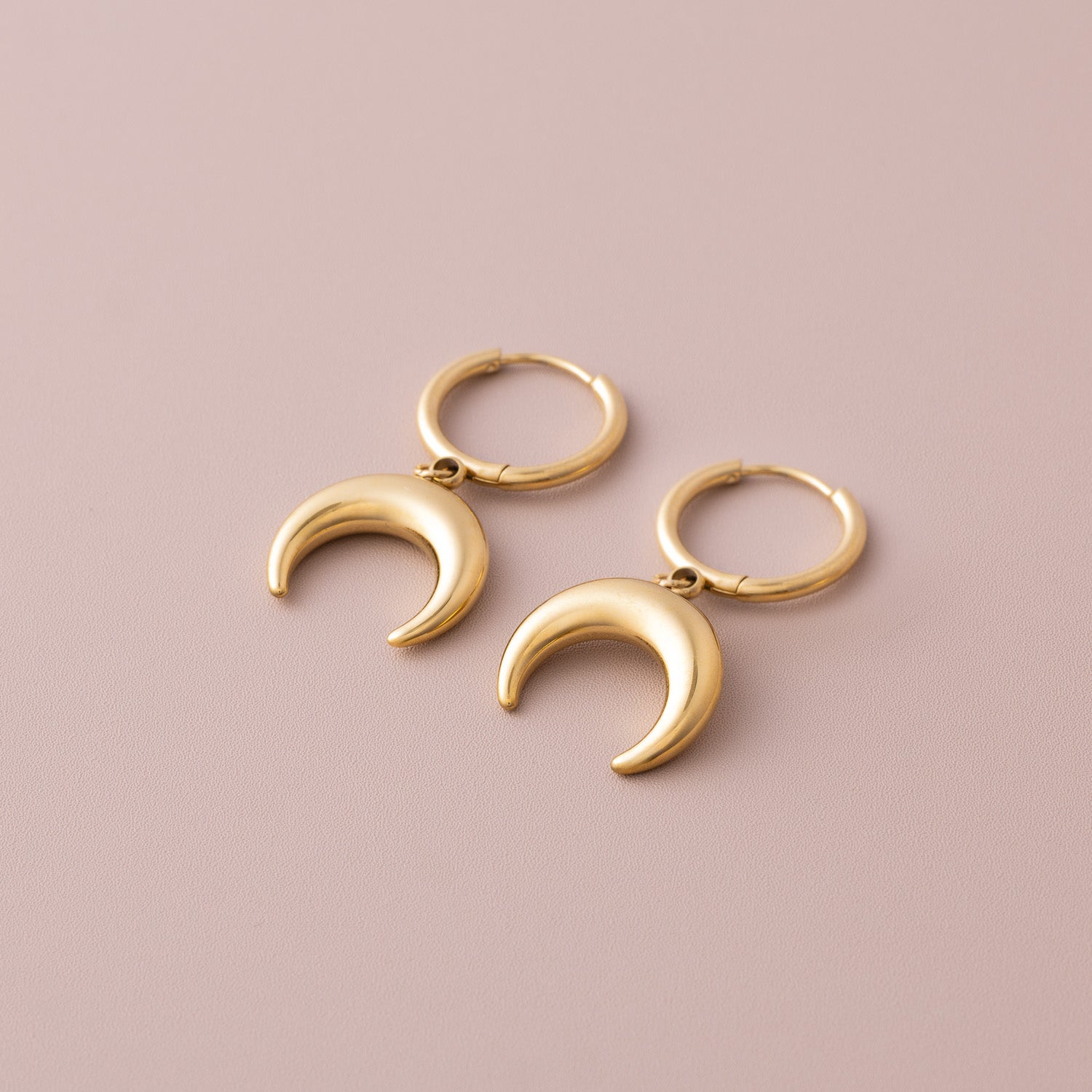 Small Horn SS Earrings