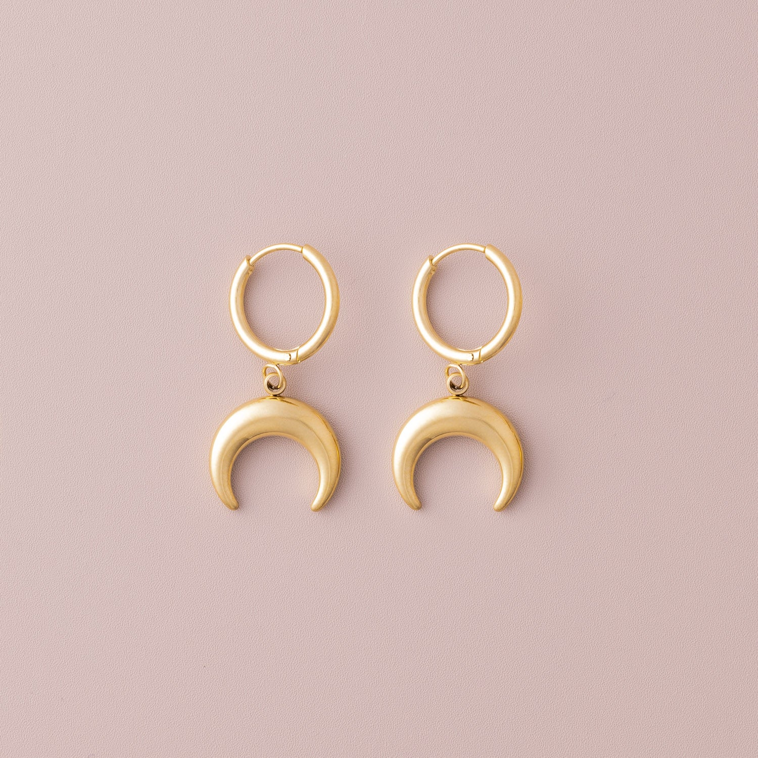 Small Horn SS Earrings