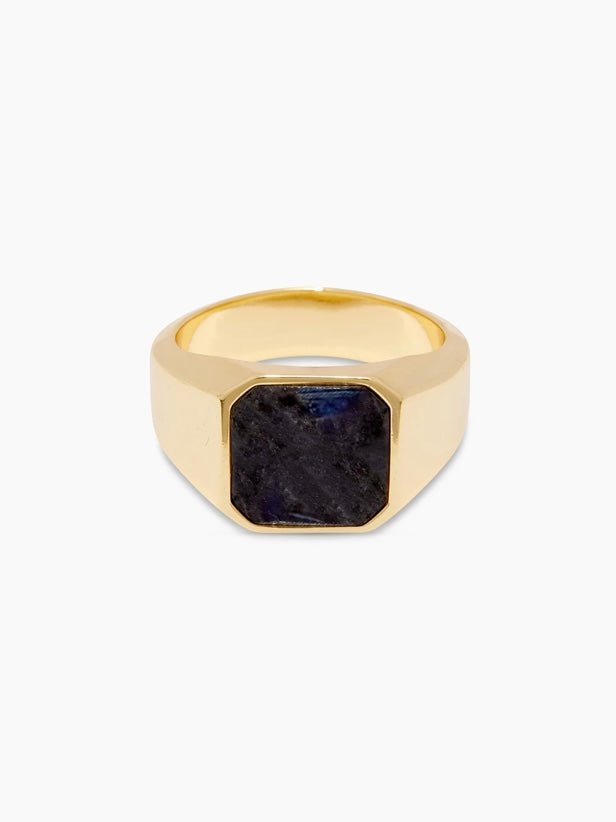 Black Labradorite Adler Bar Ring by Gorjana