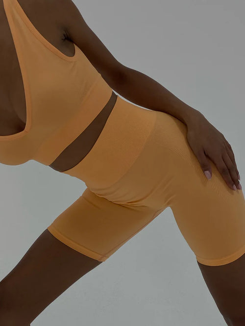 Peach V-Neck Top & Seamless Biker Short by We Wore What