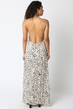 Cape Town Maxi