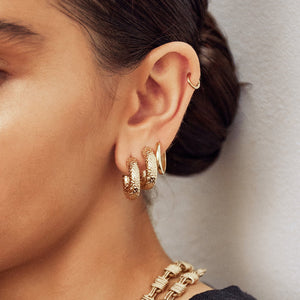 Osher Gold Hoop Earrings by Arms of Eve