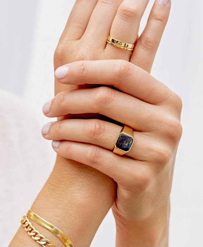 Black Labradorite Adler Bar Ring by Gorjana