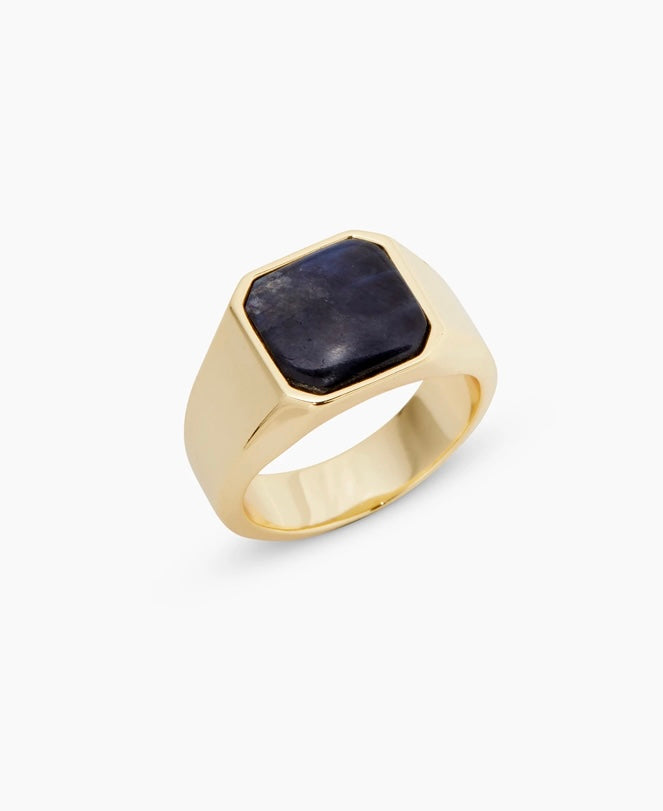 Black Labradorite Adler Bar Ring by Gorjana